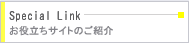 Special link